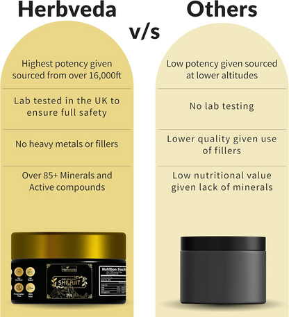 Shilajit Resin | Pure Himalayan Shilajit 30g